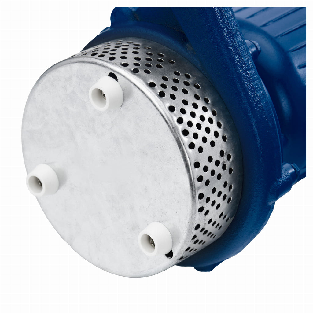 Pompa de apa murdara si curata cu flotor 2100W ,  WDS2420