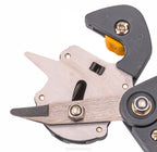 Cleste de altoit Plante, Tufe, Arbori PM-SDO-310BT , Powermat PM1034 - imaginea 4