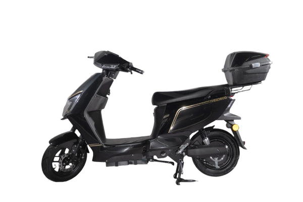 Scuter Electric REE1500