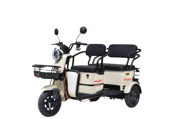 Tricicleta Electrica Master Car